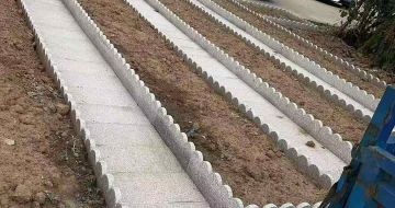 本溪芝麻白花边石